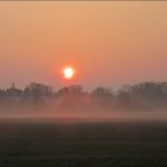 Sonnenaufgang im Wiesengrund