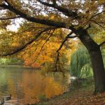 Herstlicher Fürther Stadtpark am kleinen Weiher